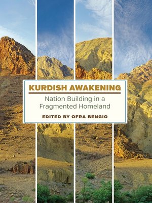 cover image of Kurdish Awakening